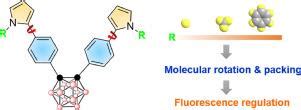 Structure Fluorescence Relationships In Pyrrole Appended O Carborane