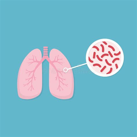 Human Lung Illness Anatomy Diagram Lungs Of Infected Person