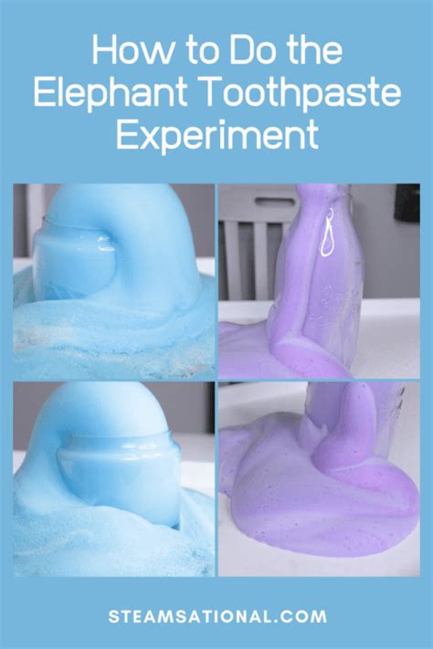 Elephant Toothpaste Experiment