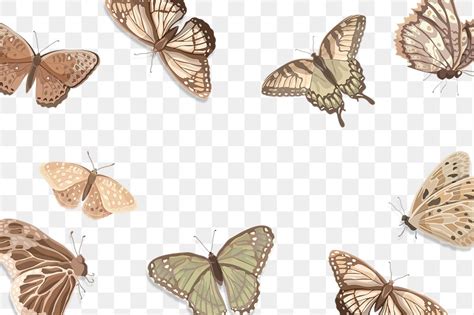 Aesthetic Butterfly PNG Images Free Photos PNG Stickers Wallpapers