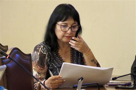 Diputada Marzán ofició a Ministra del Interior solicitando informe de