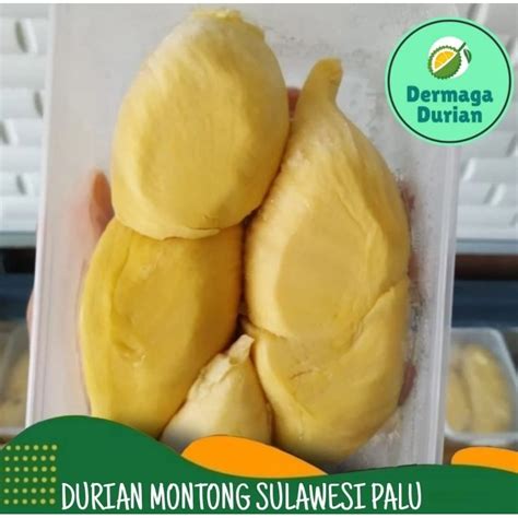 Jual Durian Montong Palu Durian Montong Parigi Durian Montong Bali