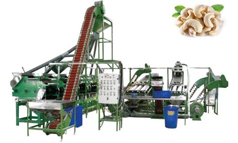 Automatic Cashew Nut Shelling Processing Line The Cashew Nut Processing