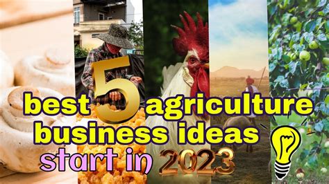 Best Agriculture Business Ideas For Most Profitable Agriculture