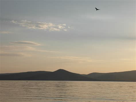 Free Images Sea Coast Ocean Horizon Bird Cloud Sunrise Sunset