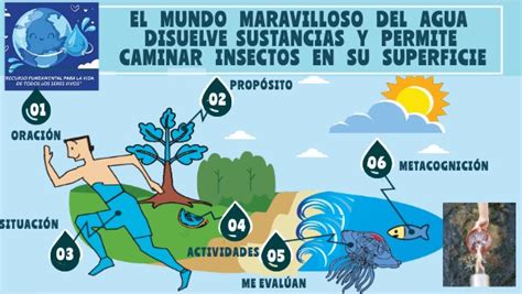 EL AGUA ES UN RECURSO INDISPENSABLE PARA LOS SERES VIVOS