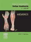 Fichas De Autoevaluacion Netter Anatomia Tronco Frank Henry Netter