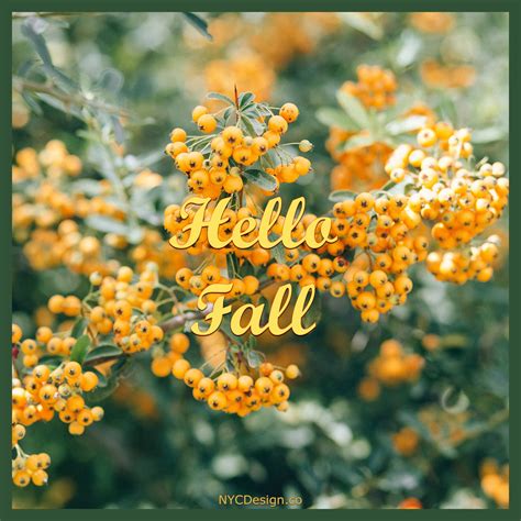 Hello Fall Images, Captions & Quotes – NYCDesign.co: Printable Things