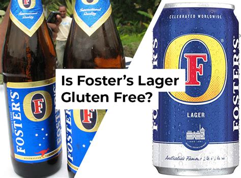 Is Foster's Lager Gluten Free? - GlutenBee