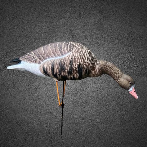 МАХОКРЫЛ Белолобый гусь OSCAR DECOYS ELITE 3D Speckbelly Goose Мягкий ...