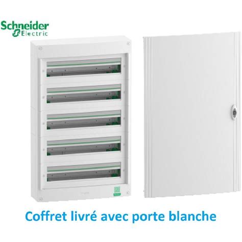 SCHNEIDER COFFRET ÉLECTRIQUE SAILLIE LIVRÉ AVEC PORTE 5 RANGÉES 24