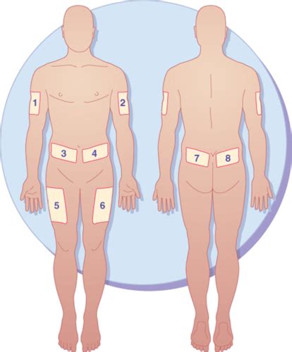 Pharm EXAM 5 Antidiabetics Flashcards Quizlet