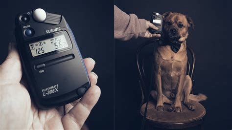 How to use a light meter for studio portraits - Photofocus