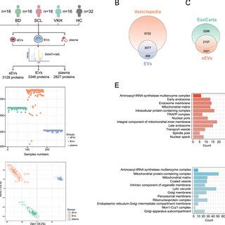 Proteomic Landscape Of Plasma Derived Evs And Plasma In As A Venn