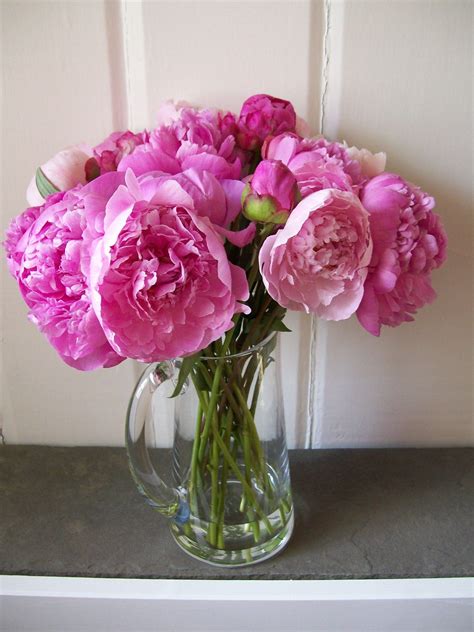 Букет пионов в вазе - 79 фото
