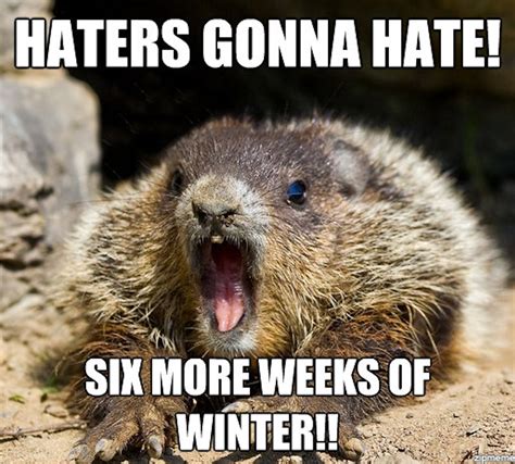 These Groundhog Punxsutawney Phil Memes Will Get You Through The Cold, Bitter Winter He Foresaw