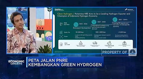 Peta Pengembangan Bahan Bakar Green Hydrogen Pertamina NRE Indonesia