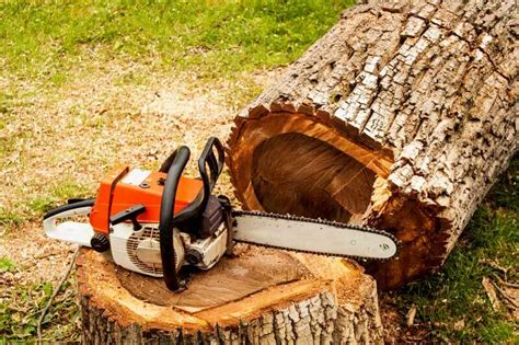 Cutting Down Trees Safely