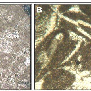 A) Thin section shows ghost of ooids in the sedimentary limestone ...