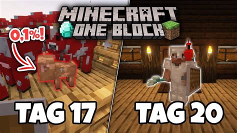 Ich Habe 20 TAGE MINECRAFT ONE BLOCK Gespielt Und DAS Ist Passiert 0