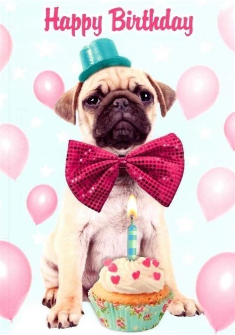 Pin By Dawn Hackworth On Pug Birthday Happy Birthday Greetings Happy