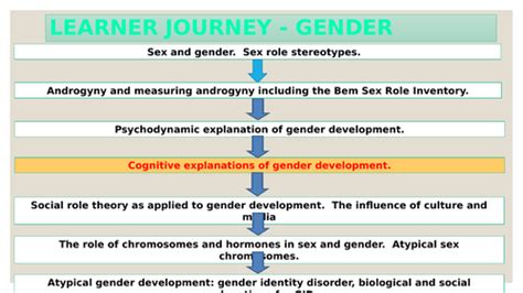 Psychological Explanations Gender Aqa Psychology Teaching Resources