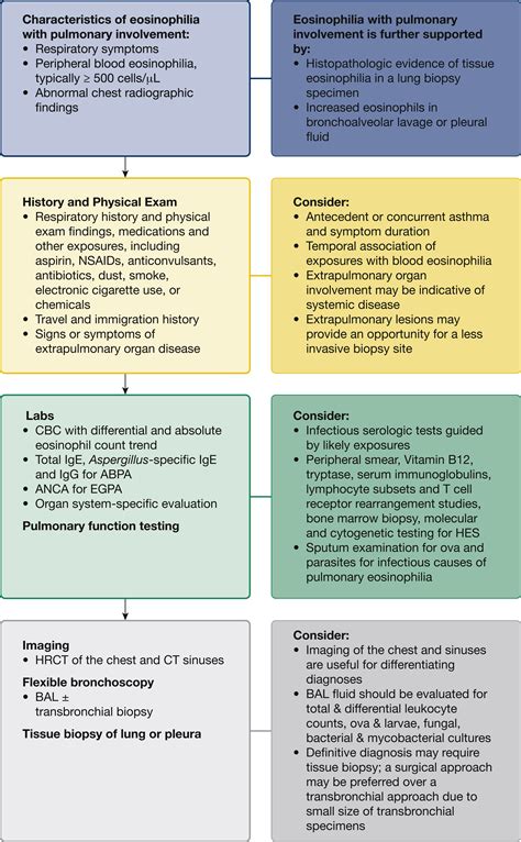 Approach To Eosinophilia Presenting With Pulmonary Symptoms Chest