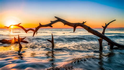 Jekyll Island-Home To The Remarkable Driftwood Beach