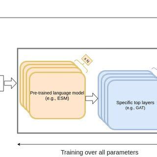 Our Fine Tuning Architecture Based On NLP Based Pre Trained Models