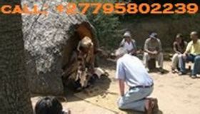 Sangoma and Healer Dr. Buba +27795802239