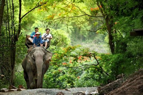 Best Handicraft Chiang Mai Best Arts Crafts Shops In Chiang Mai