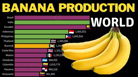 BANANA Production In The World By Country 1961 2020 YouTube