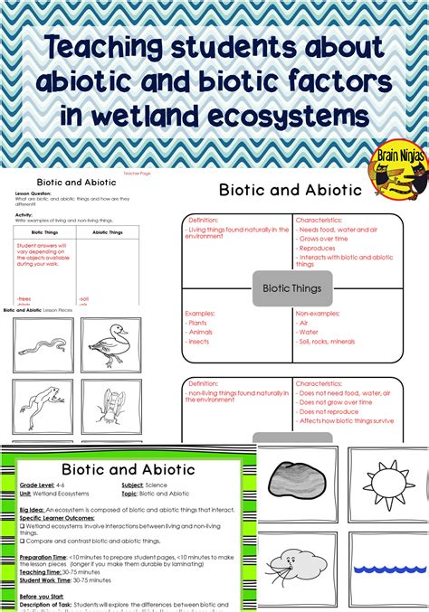 Free Ecosystem Worksheets