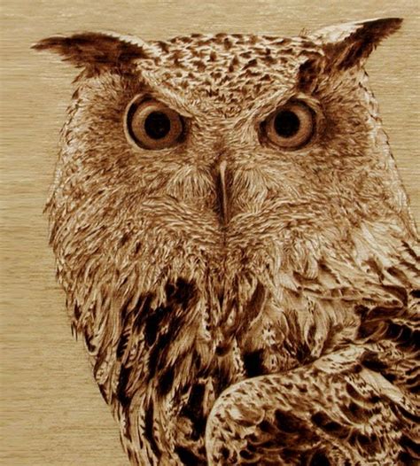 Eagle Owl Sold Pyrographic Illustration By Cate Mccauley Burned