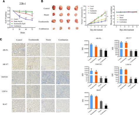 Frontiers Huaier Extract Inhibits Prostate Cancer Growth Via