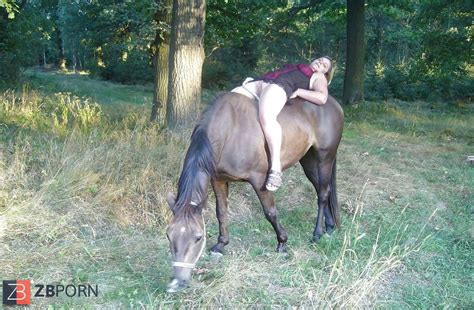 Hengst Und Stute ZB Porn