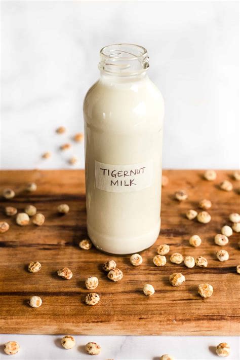 Easy Tigernut Milk (Gluten-Free, Vegan) - Dish by Dish