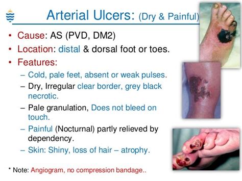 Pathology Review Term1