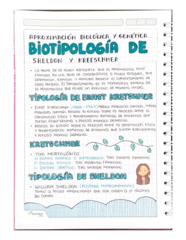 Wuolah Descarga Biotipologia De Sheldon Y Kretschmer Pdf Apuntes De