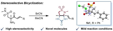 Stereoselective Synthesis Of β γ‐fused Bicyclic γ‐ureasultams Via An