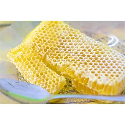 Jual Madu Sarang Murni Asli Lebah Apis Mellifera Honeycomb Original