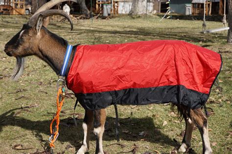 Goat Coat, Waterproof Cover to Protect Goats from Wind, Rain, and Cold