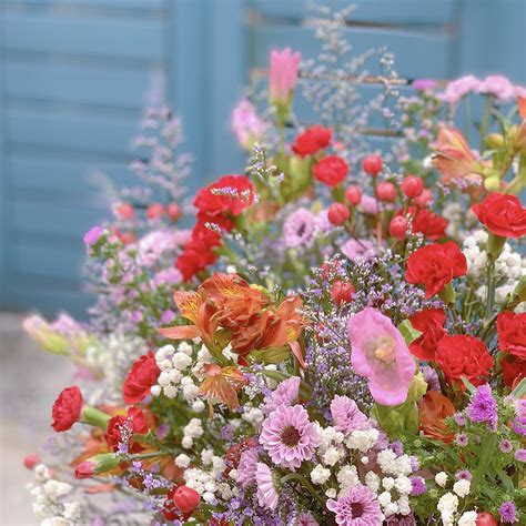 binh hoa dong noi hoa thang tu