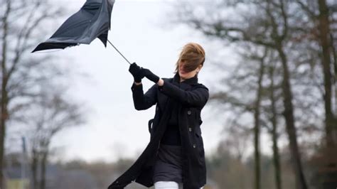 Hoe Bereid Je Je Voor Op Een Storm M Makelaars