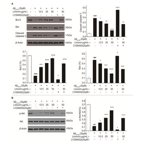 The Expression Levels Of Bax Bcl 2 And Caspase 3 A As Well As