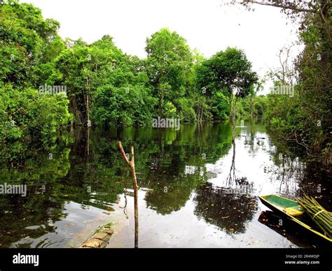 The Amazon River In Peru South America Stock Photo Alamy