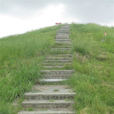 Poverty Point Mounds – Telegraph