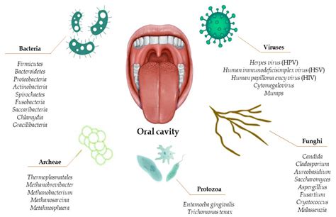 Oral Chlamydia