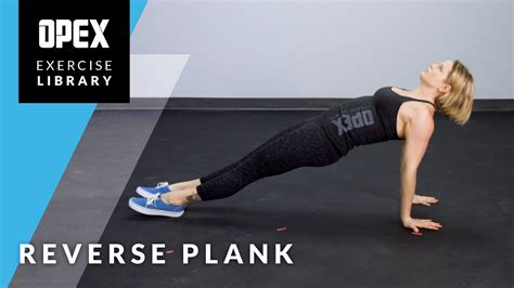 Reverse Plank OPEX Exercise Library YouTube