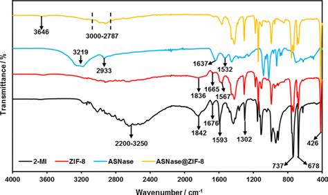 Ftir Spectrums Of The 2 Mi Zif 8 And Asnasezif 8 Download Scientific Diagram